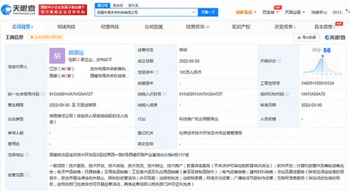 新東方拓展西藏市場 成立互聯網銷售子公司，注冊資本100萬元